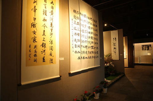 以藝為橋，共繪青春——杭臺青年文化藝術交流活動在連橫紀念館圓滿舉辦